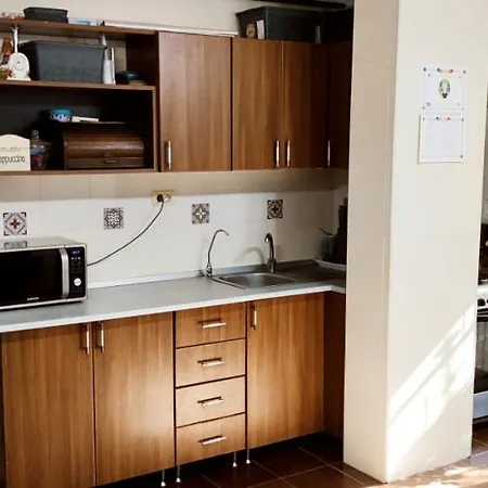 Apartament Sofia * 康斯坦察