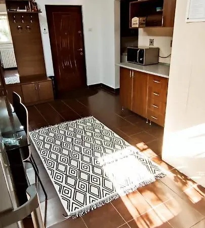 Apartament Sofia 康斯坦察