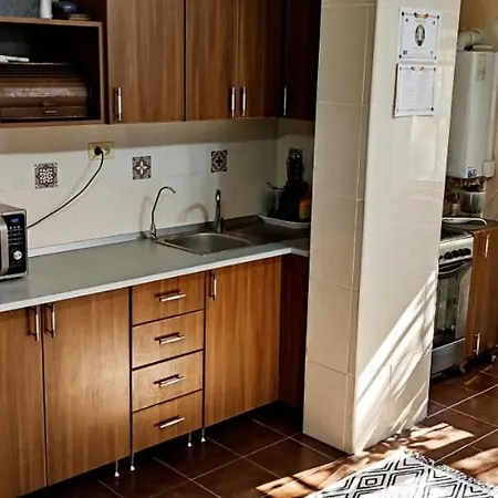 Apartament Sofia * 康斯坦察